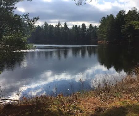 Moose River Park LLC