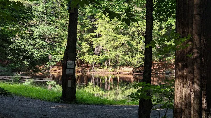 Alps Family Campground Inc Picture 1