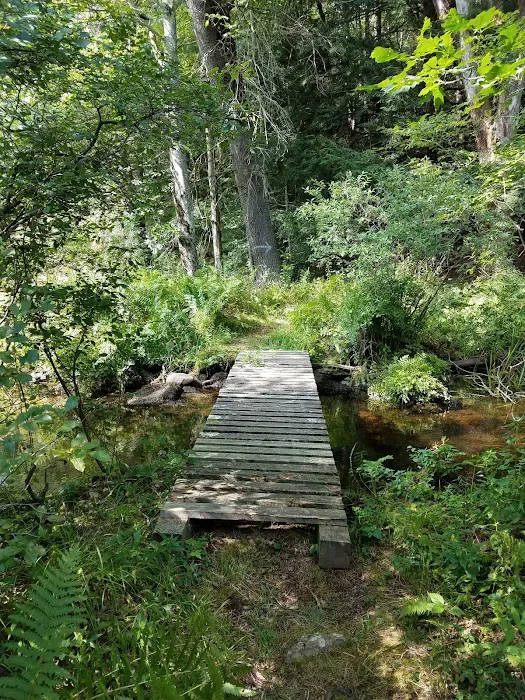 Alps Family Campground Inc Picture 4