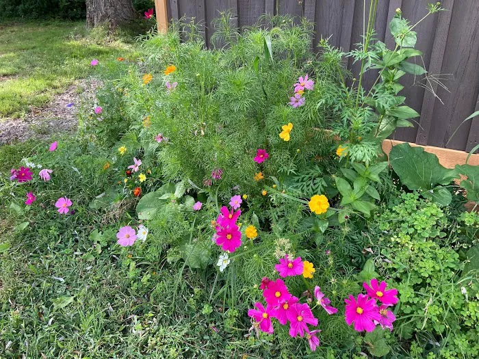 Battenkill Glamping Resort Picture 10