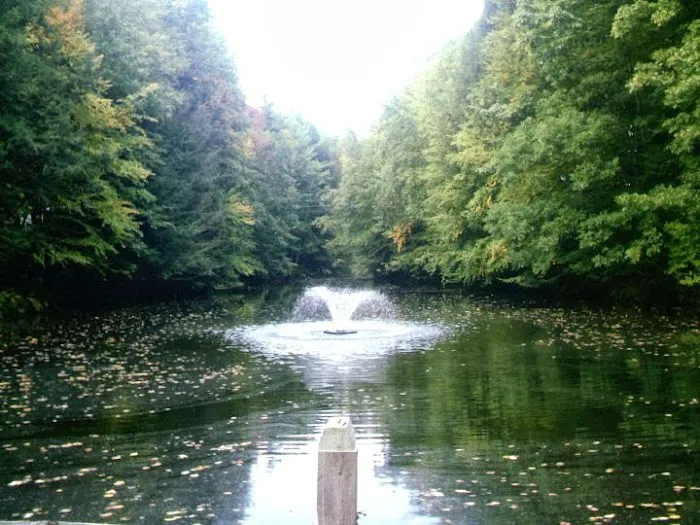 Coldbrook Resort Campground Picture 8