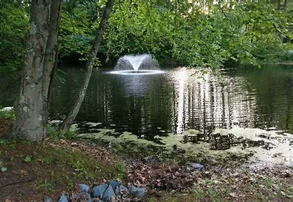 Coldbrook Resort Campground Picture 6