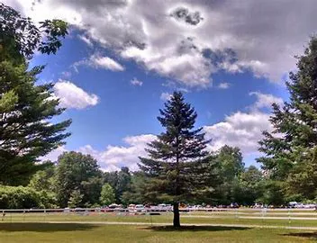 Coldbrook Resort Campground Picture 2