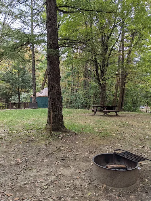 October Mountain State Forest Campground Picture 2