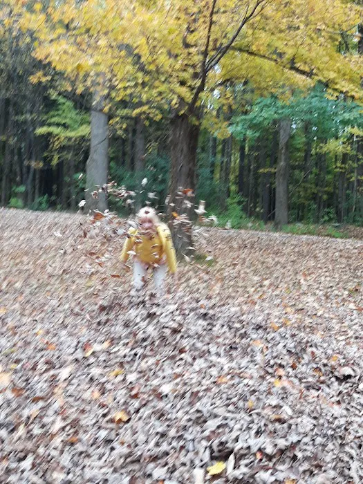 October Mountain State Forest Campground Picture 5