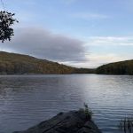 Beartown State Forest Site 10