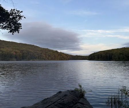 Beartown State Forest Site 10