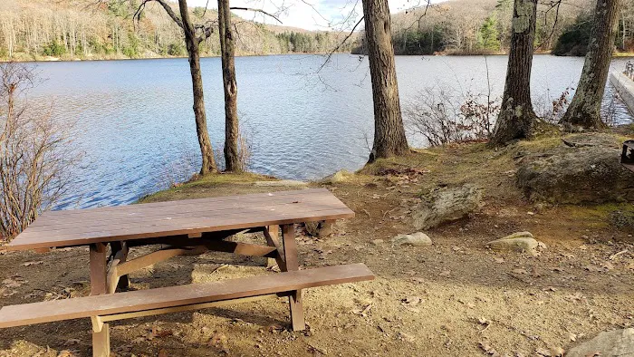 Beartown State Forest Site 11 Picture 1