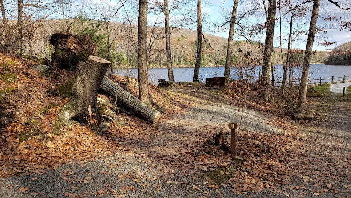 Beartown State Forest Site 11 Picture 2
