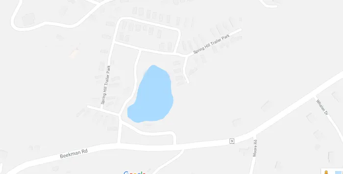 Spring Hill Park LLC Picture 3