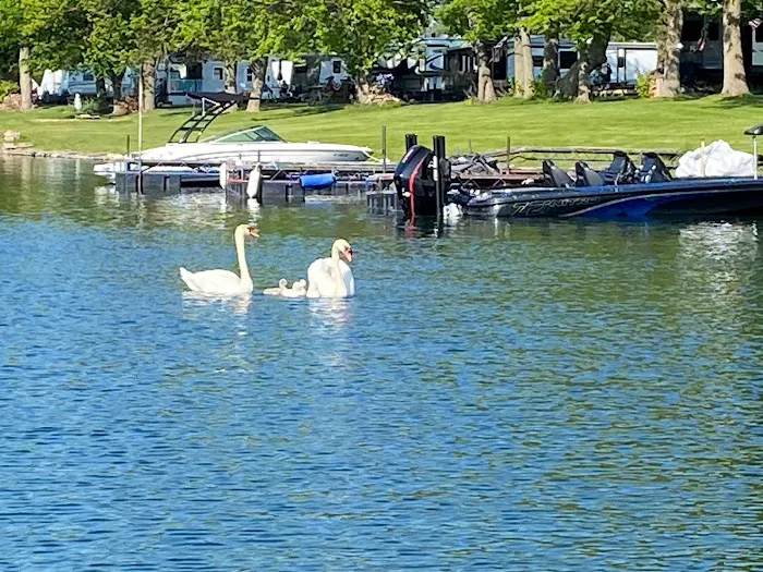 Hidden Harbor Campground and Marina Picture 5