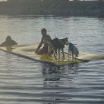 Hidden Harbor Campground and Marina