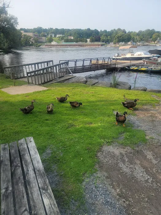 Black River Bay Campgrounds Picture 8