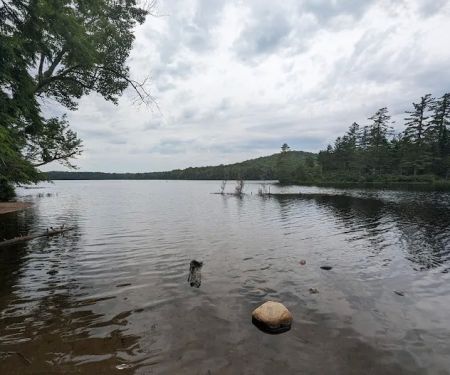 Nicks Lake Campground