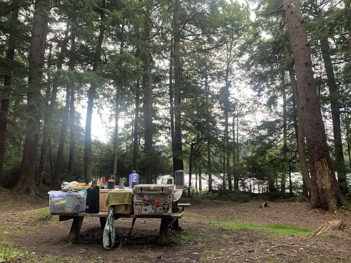 Alger Island Campground Picture 7