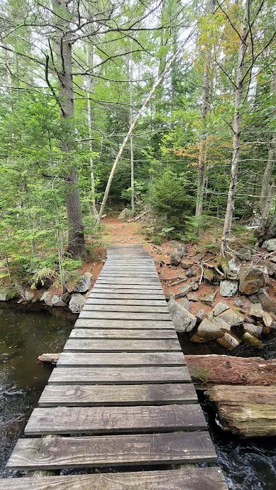 Limekilm campground nature trial Picture 4