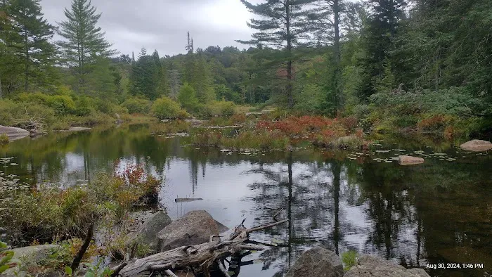 Limekilm campground nature trial Picture 7