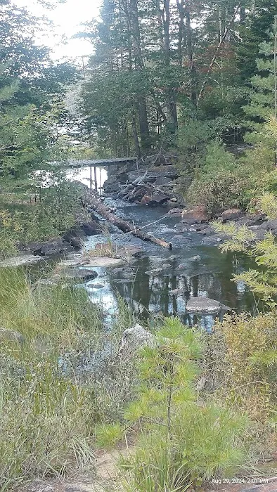 Limekilm campground nature trial Picture 8