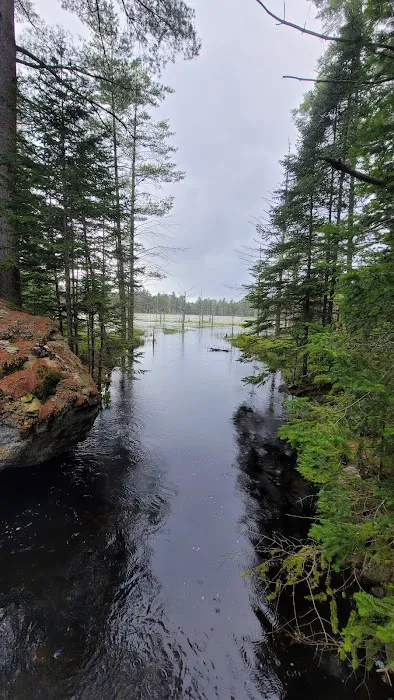 Limekilm campground nature trial Picture 2