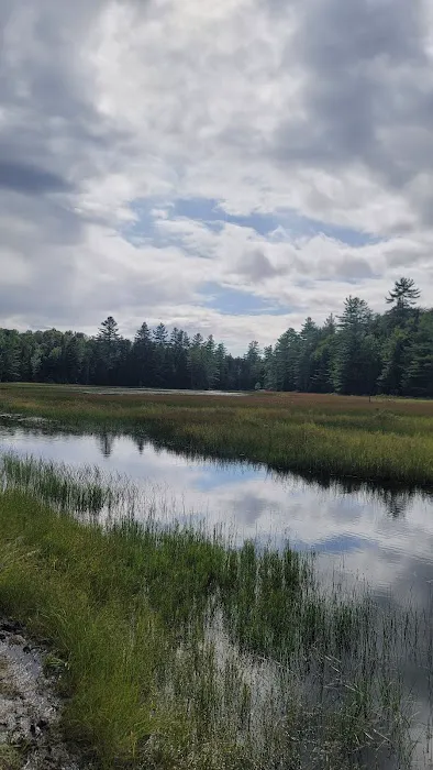 Limekilm campground nature trial Picture 1
