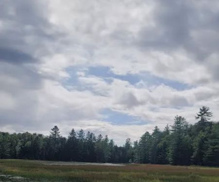 Limekilm campground nature trial