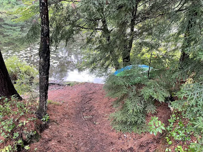 Limekiln State Campground Picture 9