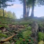 Soft Maple Campground