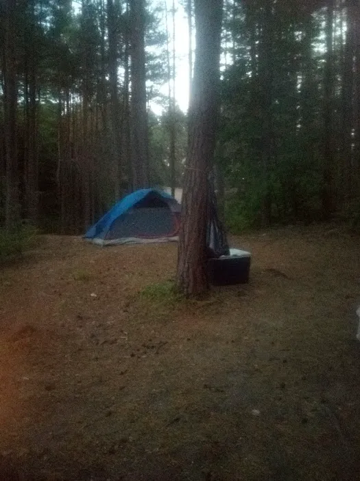 Soft Maple Campground Picture 9