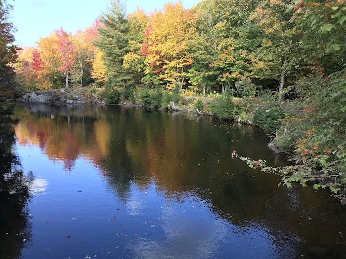 Soft Maple Campground Picture 5