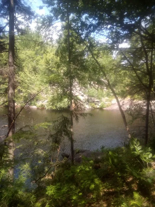 Soft Maple Campground Picture 6