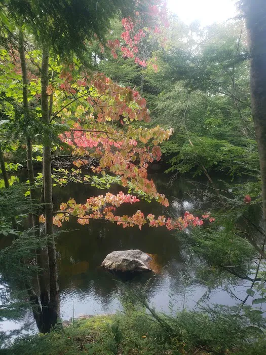 Soft Maple Campground Picture 10