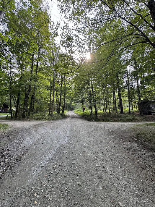Privacy Campground Picture 7