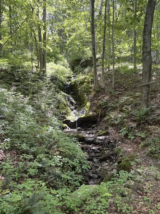 Privacy Campground Picture 4