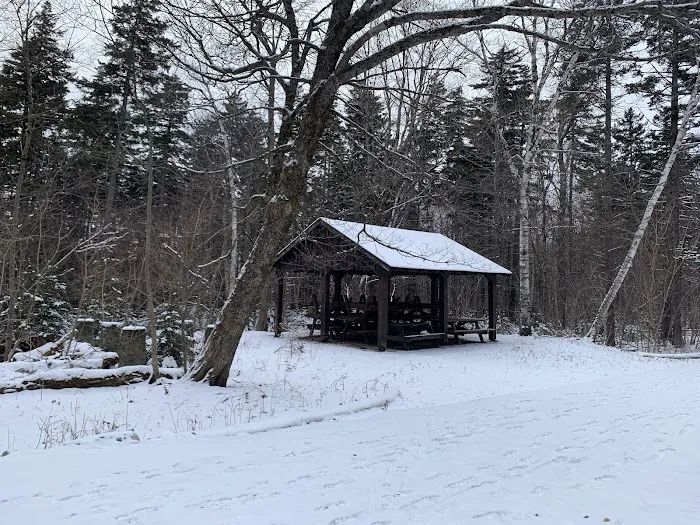 Sperry Road Campground Picture 7