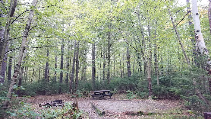Sperry Road Campground Picture 2