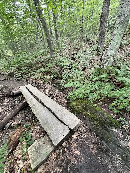 Sperry Road Campground Picture 3
