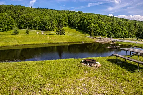 Greenwood Lodge & Campsites Picture 7