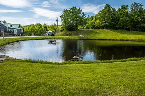 Greenwood Lodge & Campsites Picture 6