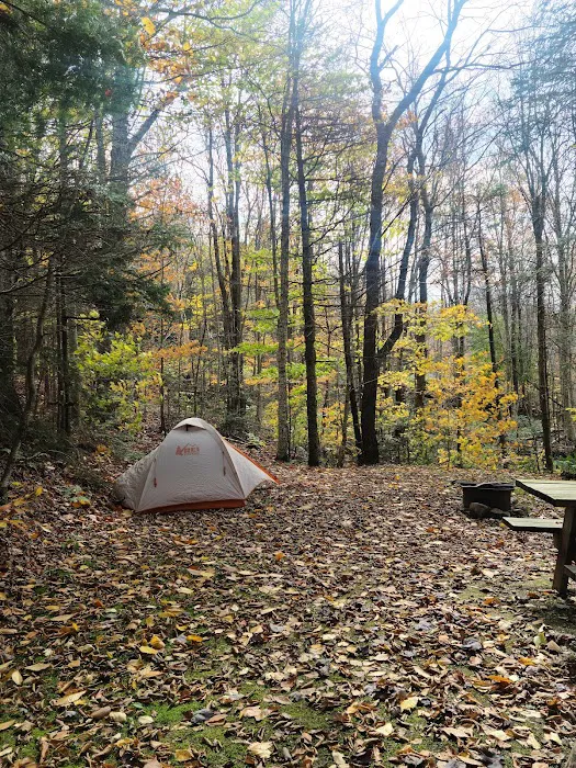 Greenwood Lodge & Campsites Picture 1