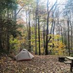 Greenwood Lodge & Campsites