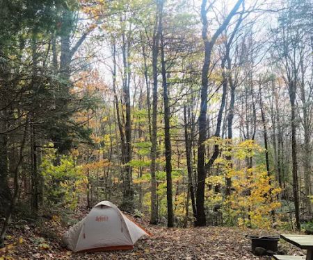 Greenwood Lodge & Campsites
