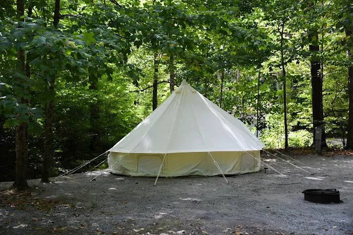 Camping On The Battenkill Picture 6