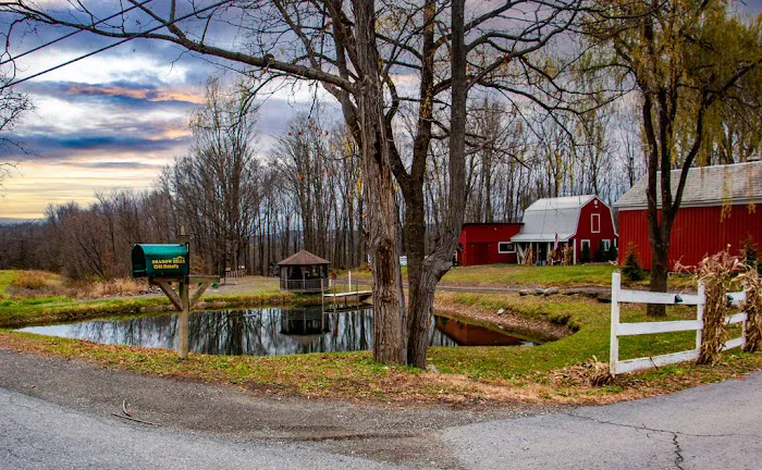 Shadow Hills Farm Picture 3