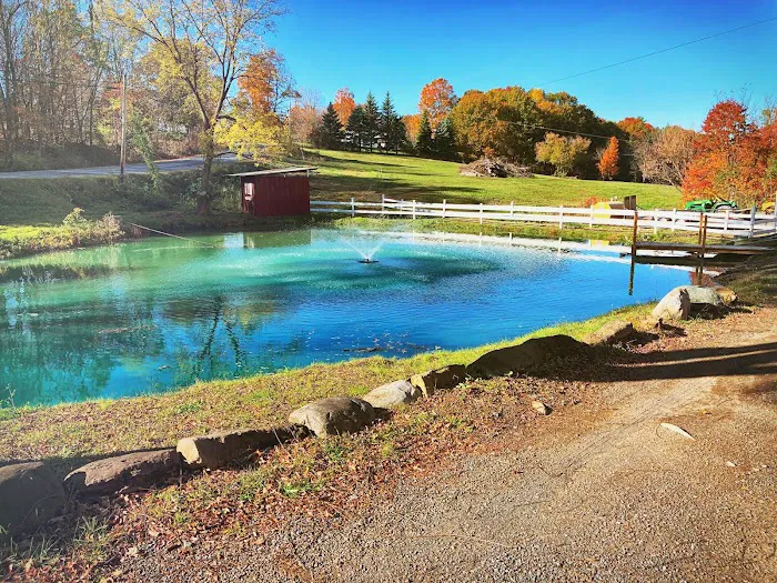 Shadow Hills Farm Picture 9
