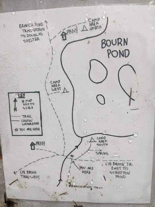 Bourne Pond Tenting Area Picture 1