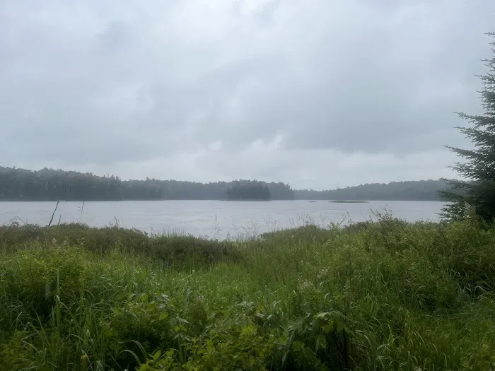 Bourne Pond Tenting Area Picture 3