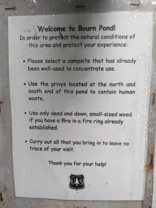 Bourne Pond Tenting Area Picture 2