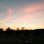 Noble Homestead & Camps