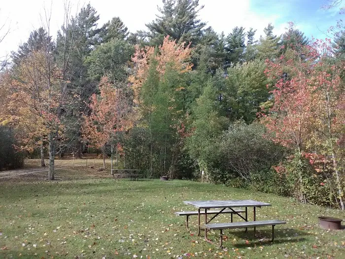 Dorset RV Park Picture 3