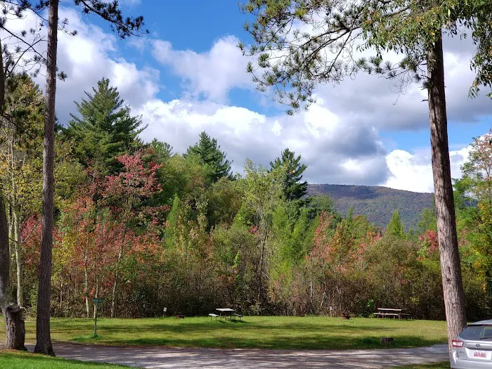Dorset RV Park Picture 8